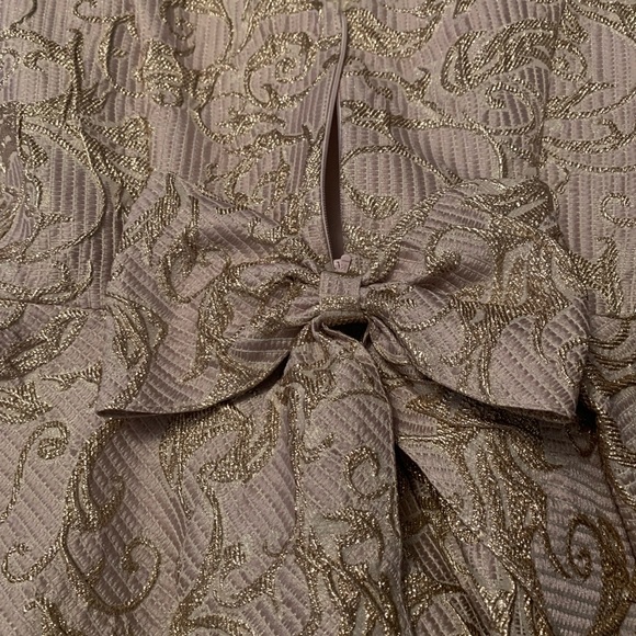 David Charles Dress - Picture 4 of 6